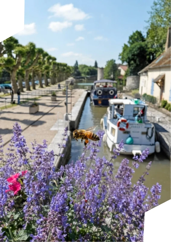 Agence de communication Loiret - BeesCom