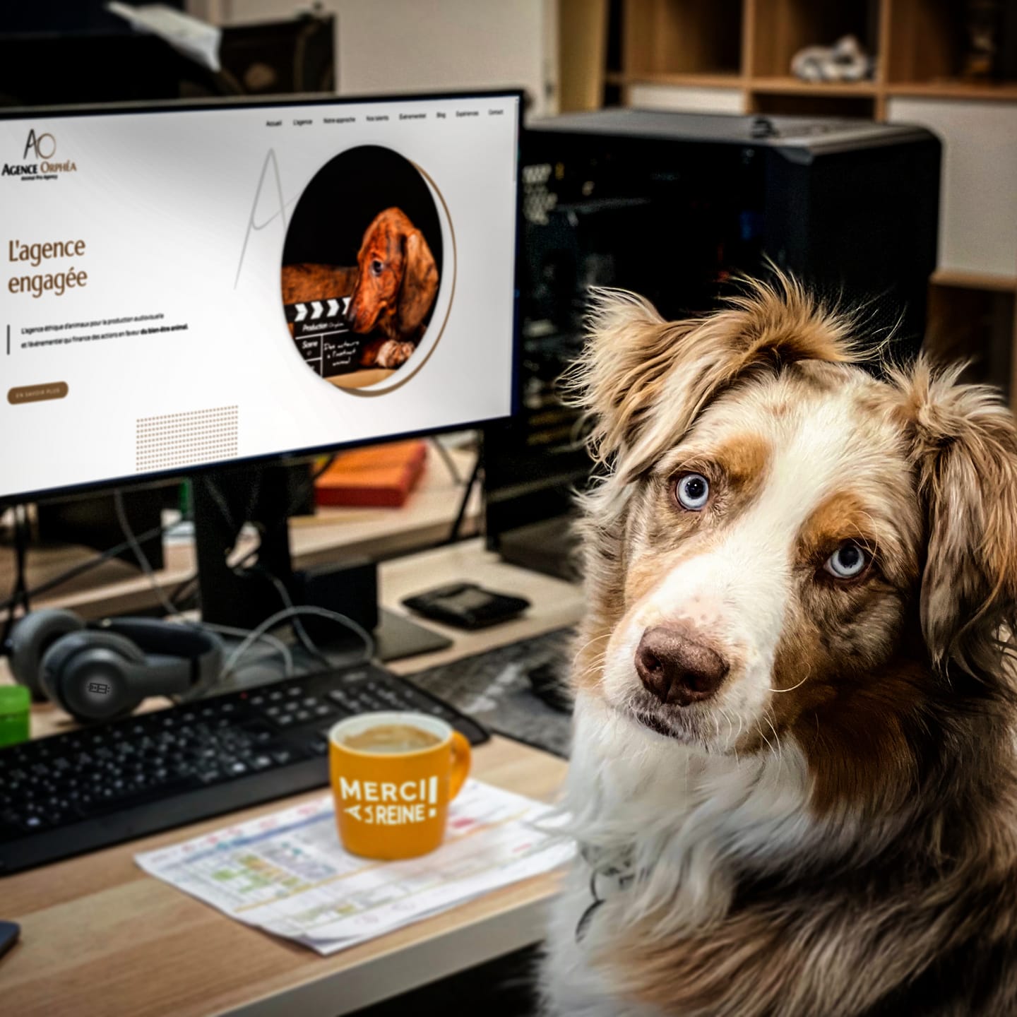 BeesCom Agence Orphéa